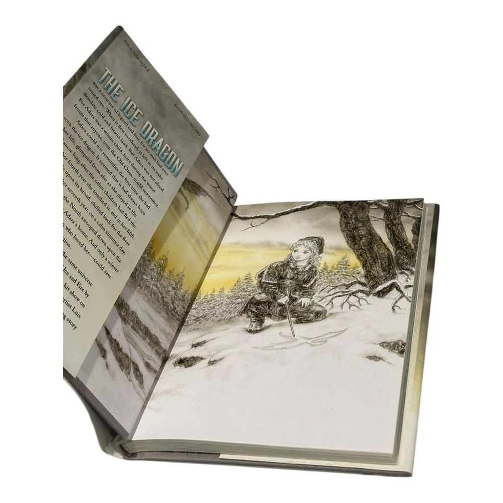 The Ice Dragon George R R Martin Luis Royo YA Fantasy Hardcover Illustrated - Picture 2 of 9